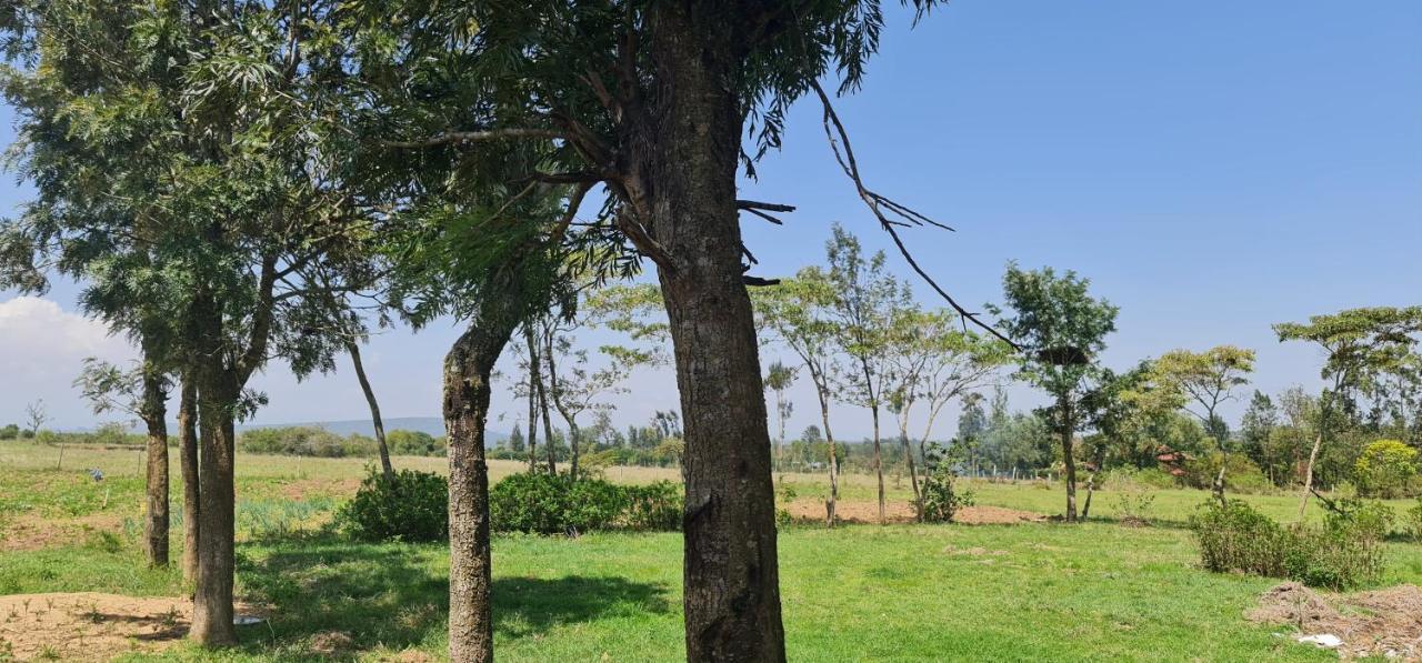 Le Tai Village Resort Near Solio Game Reserve Mweiga 外观 照片